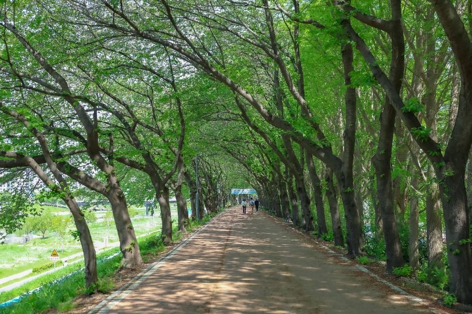 [서울둘레길 13코스] 안양천 상류코스
