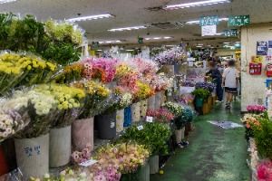 서울_고속터미널 꽃도매상가 (6)
