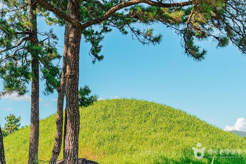 함평_함평예덕리고분군 (4)