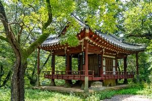 임실_오괴정 (2)