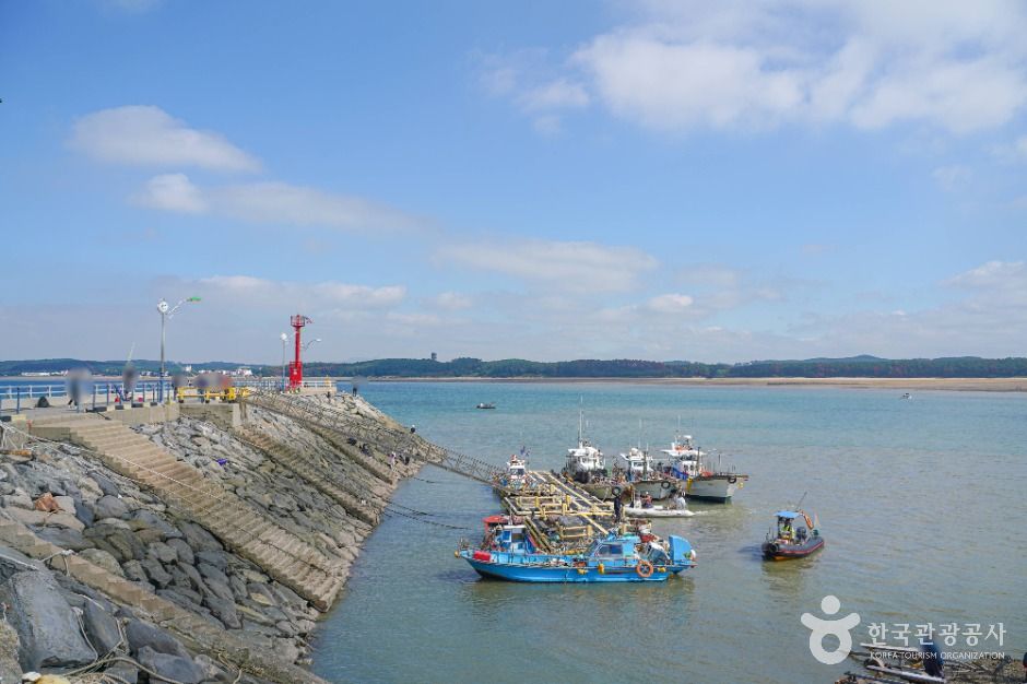 태안_마검포항 (6)