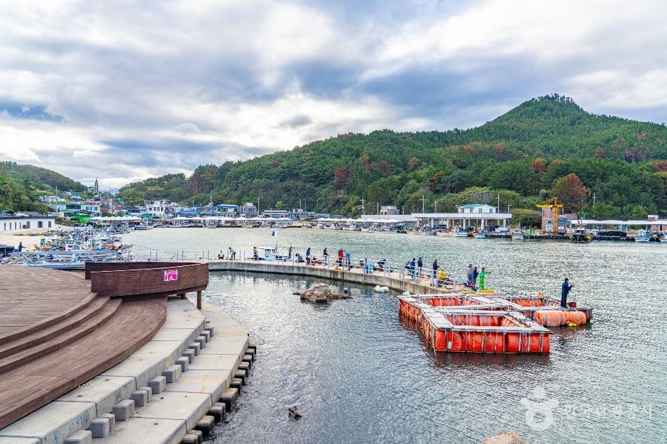 thumbnail-대진항(영덕)-3