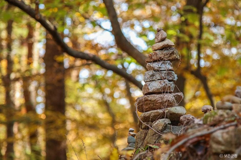 보은_세조길 (16)