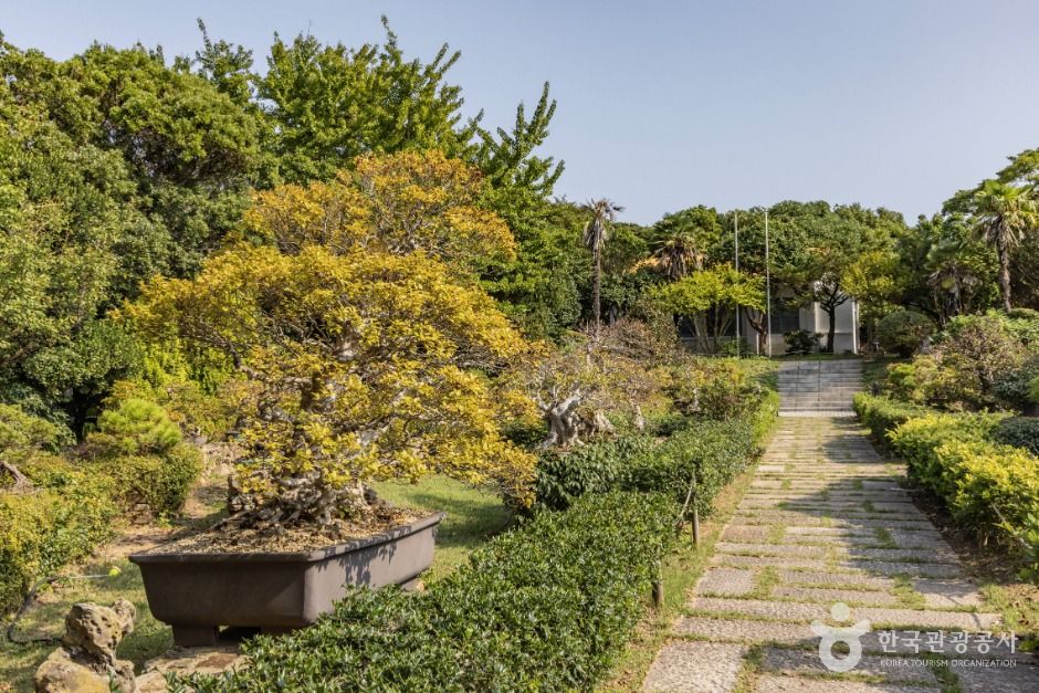 thumbnail-장사도해상공원 까멜리아-23