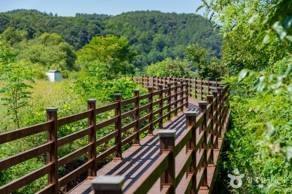 용인_용덕지 (5)