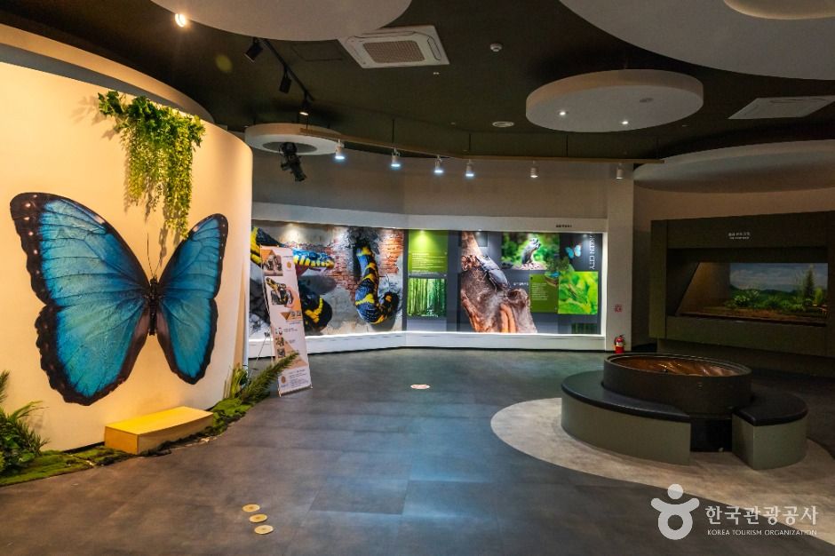 충주_충주자연생태체험관 (3)