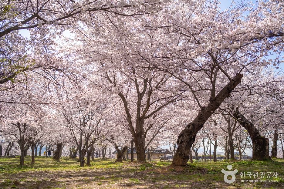 사천_사천선진리성 (2)
