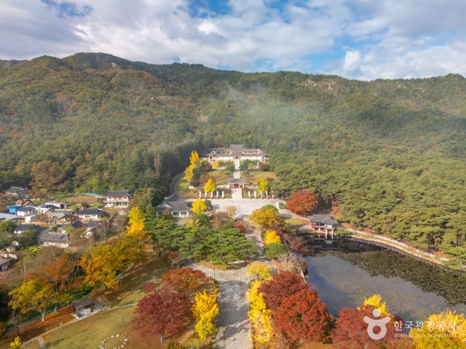 통일전 은행나무길