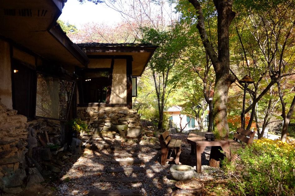 원주_소롯길 (6)