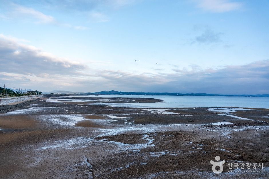 천수만(철새도래지)