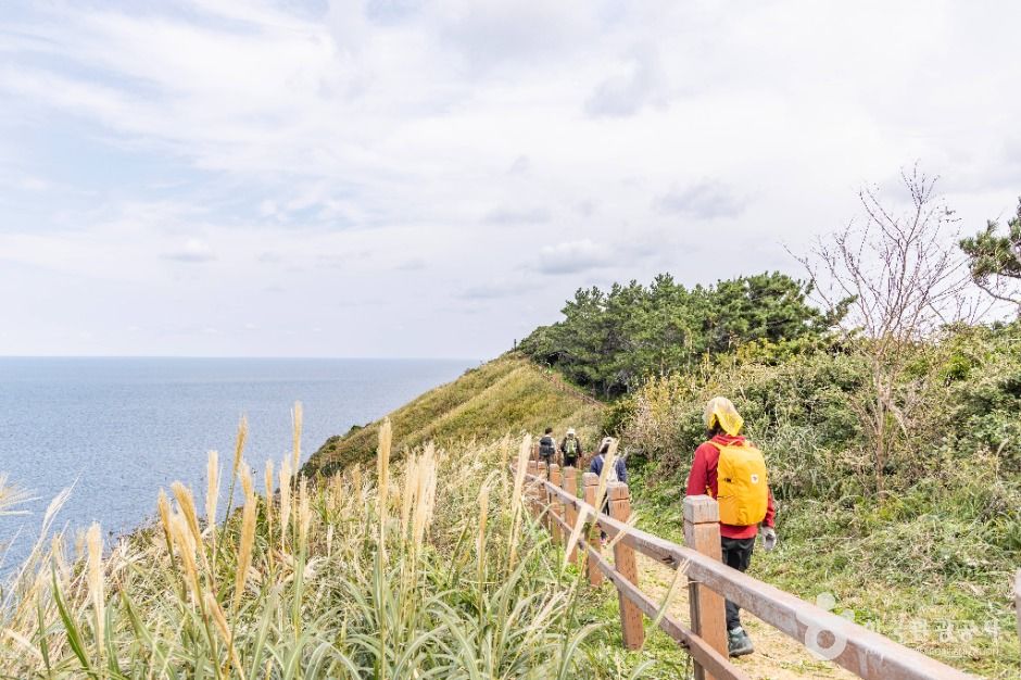 관음도 (울릉도, 독도 국가지질공원)