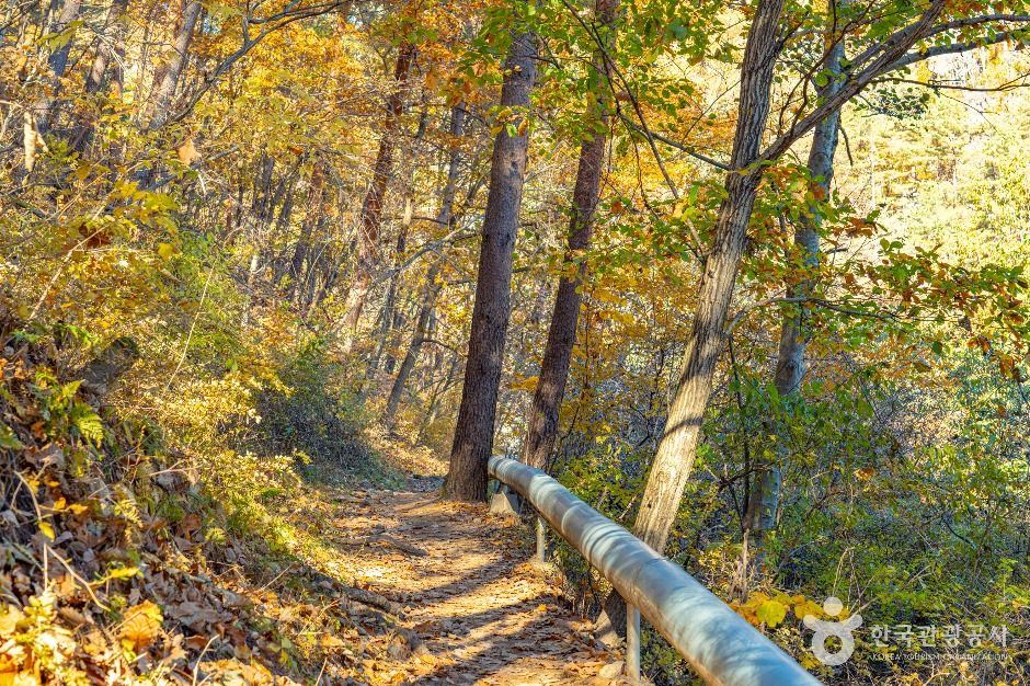 thumbnail-덕구계곡 트레킹-2