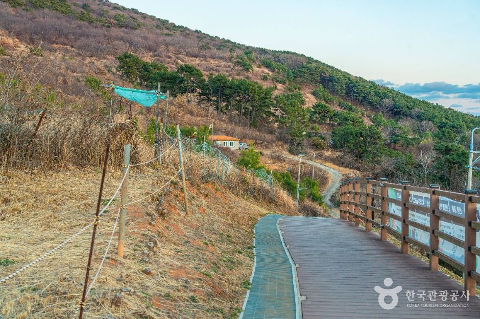 [부산 갈맷길] 5코스