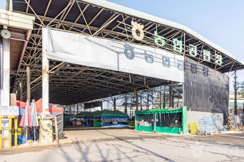 강서농산물도매시장