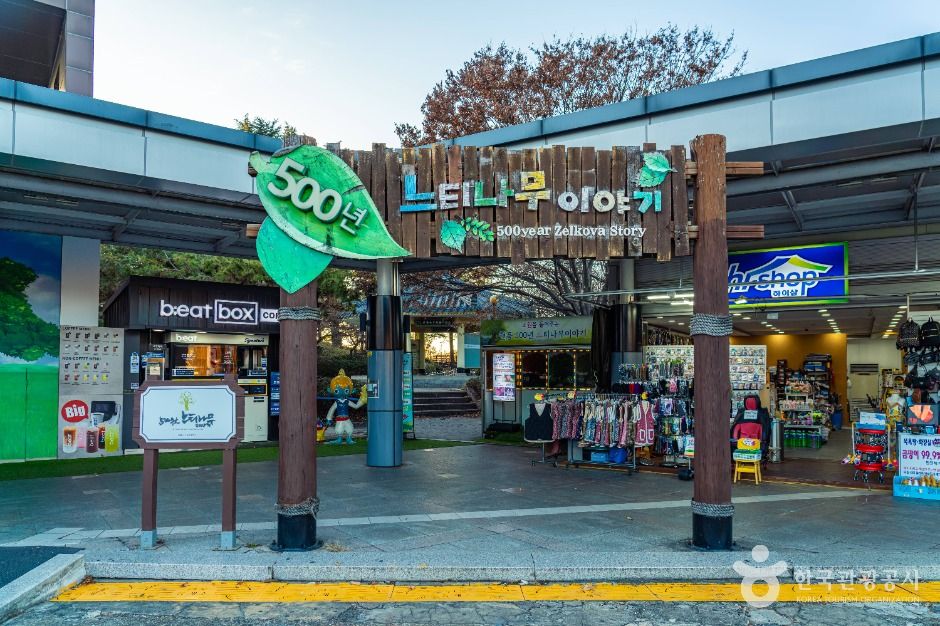 현풍 500년 느티나무 테마공원