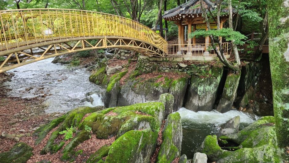 순천_순천 용오름마을 [농촌전통테마마을] (3)