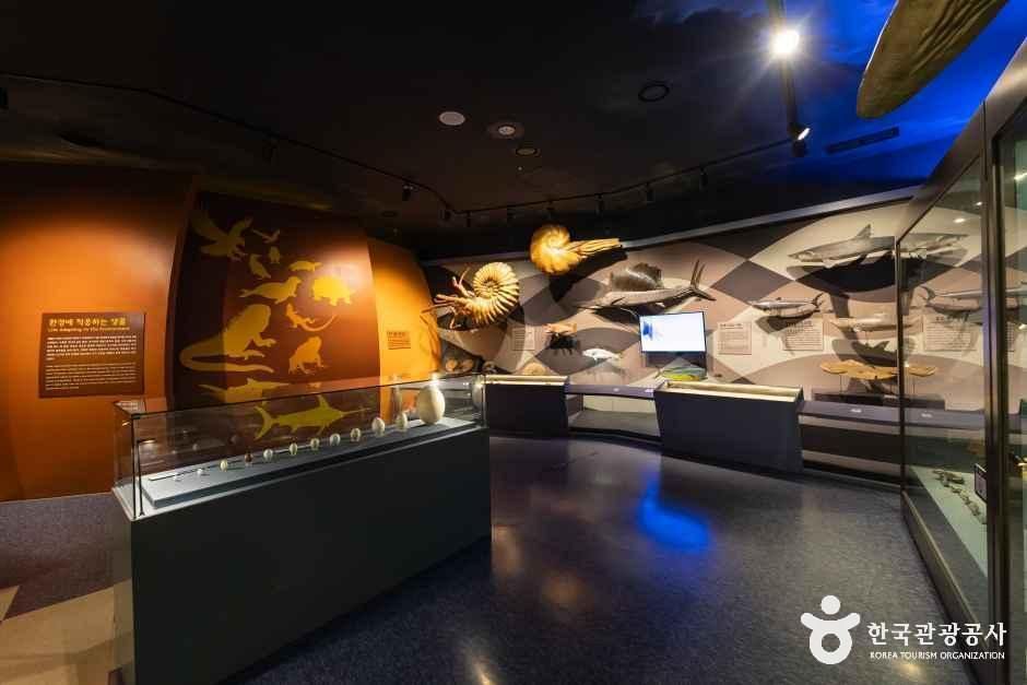 thumbnail-강화자연사박물관-4