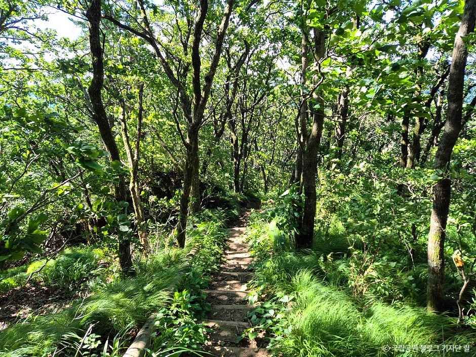 thumbnail-치악산국립공원-2