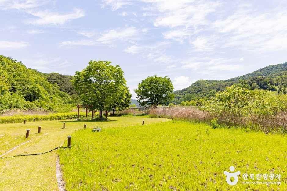thumbnail-옥순봉생태공원-1