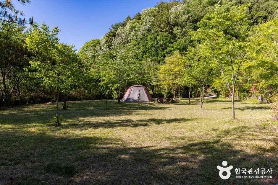 thumbnail-달자캠핑장-8