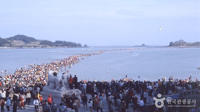 Jindo Miracle Sea Festival (진도 신비의바닷길축제)
