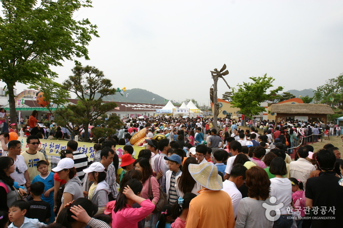 Hampyeong Butterfly Festival (함평 나비대축제) 