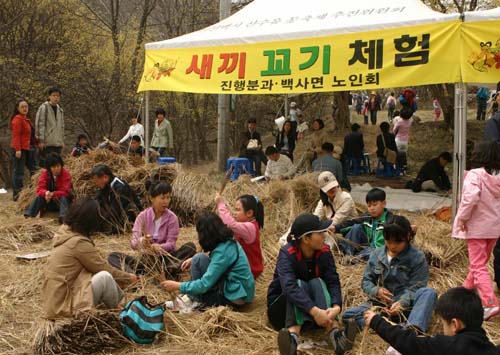 Icheon Baeksa Sansuyu Flower Festival (이천백사 산수유꽃축제)
