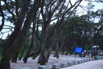 동호해수욕장_06