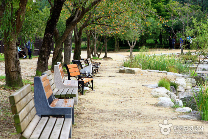 Mulhyanggi Arboretum (물향기수목원)