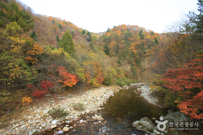 오대산국립공원 사진7