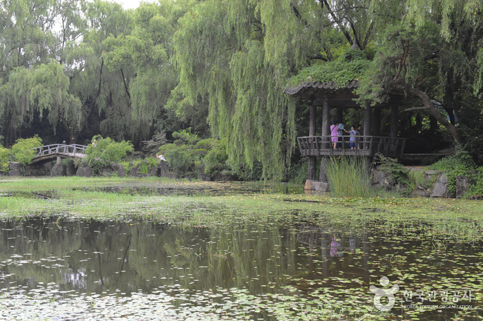The Botanical Garden BCJ (Byeokchoji) (벽초지 문화수목원)