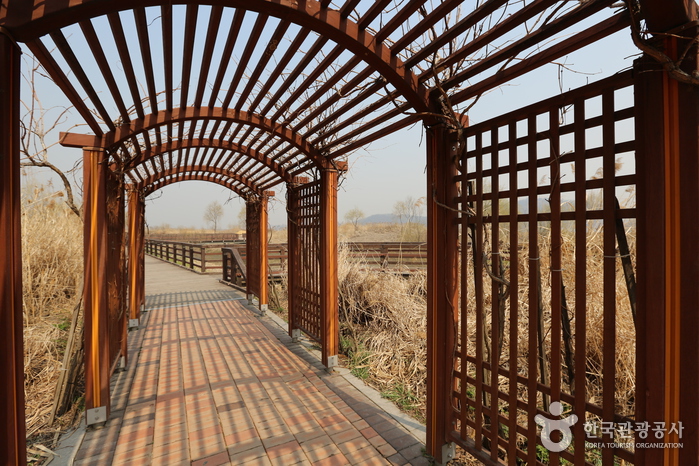 Gangseo Marsh Ecological Park (강서습지생태공원)