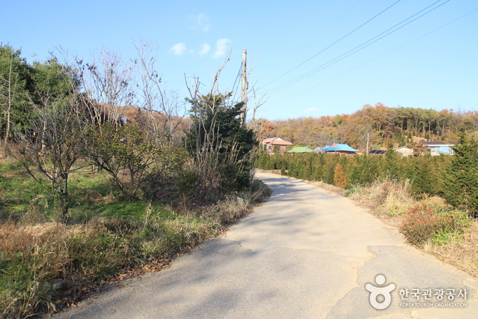 [Ganghwa Nadeul-gil Course 7] Setting Sun Trail ([강화 나들길 제7코스] 낙조보러 가는 길)3