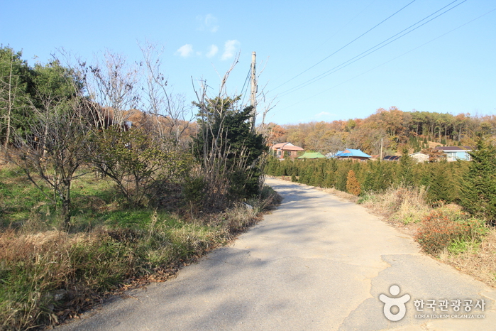 [Ruta 7 del Sendero Nadeul-gil de Ganghwa] Camino para Ver el Ocaso ([강화 나들길 제7코스] 낙조보러 가는 길)