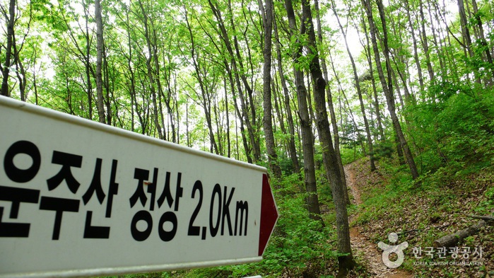 운주산 산행로