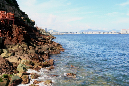 Parque Amnam de Busan (부산 암남공원)