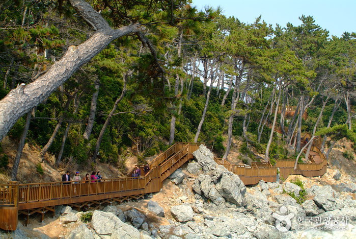 Parque Dongbaek (동백공원)