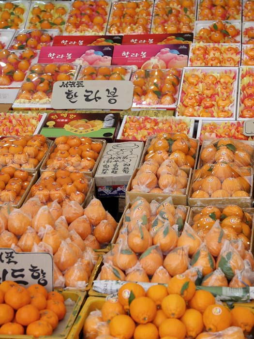 겨울엔 새콤달콤한 귤이 최고!