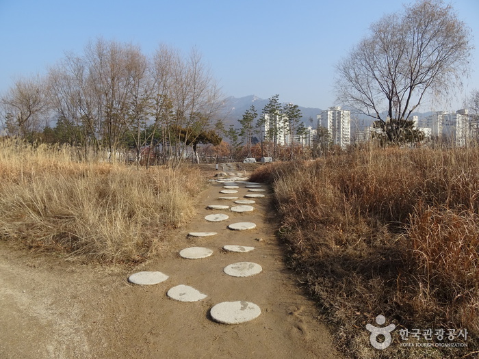 首尔菖蒲园(서울창포원)