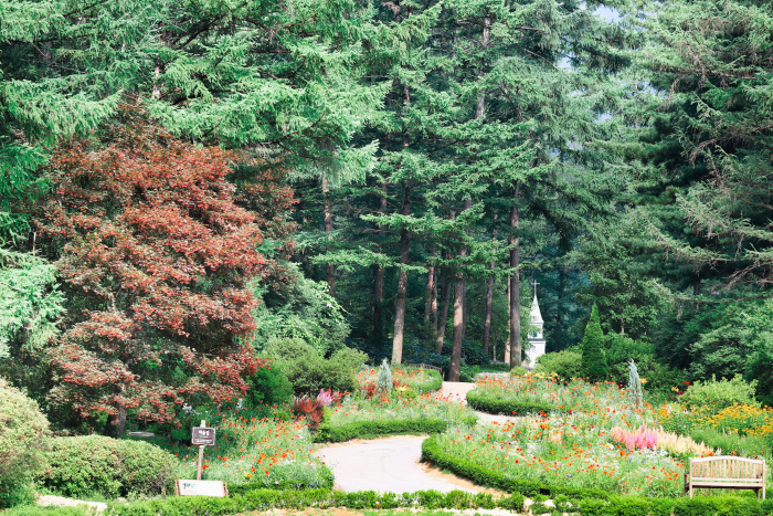 Arboretum Achim Goyo (아침고요수목원)