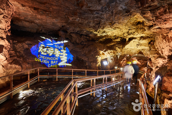 Пещера золотой летучей мыши Чхонгок (천곡황금박쥐동굴)