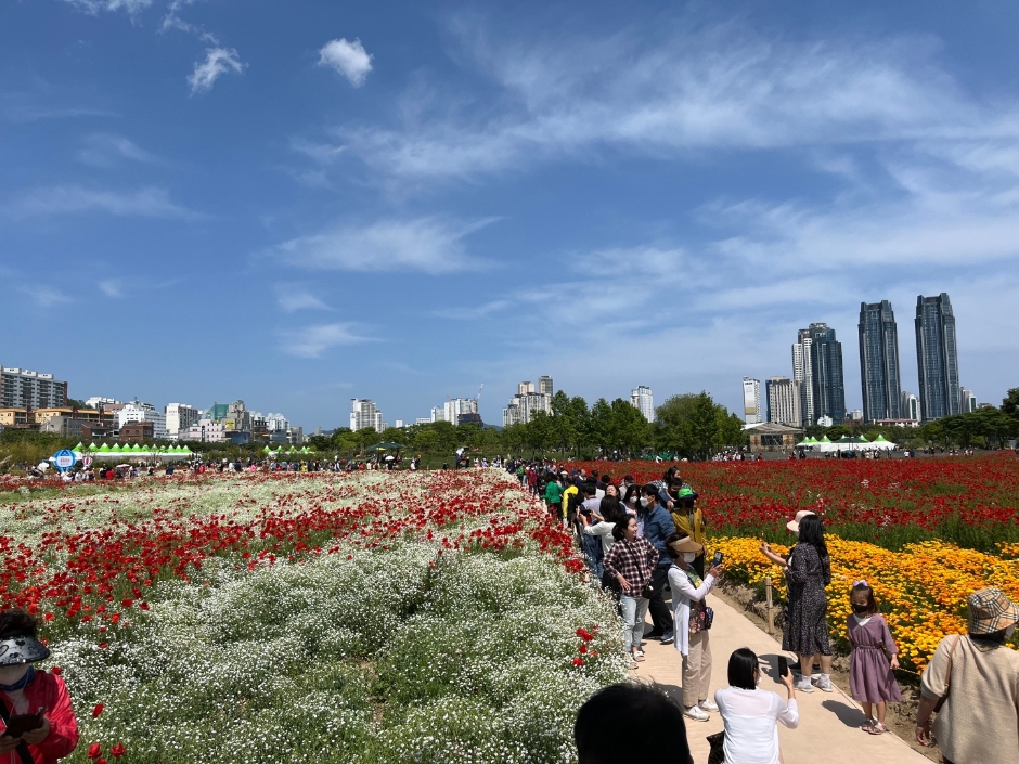 태화강국가정원 봄꽃축제