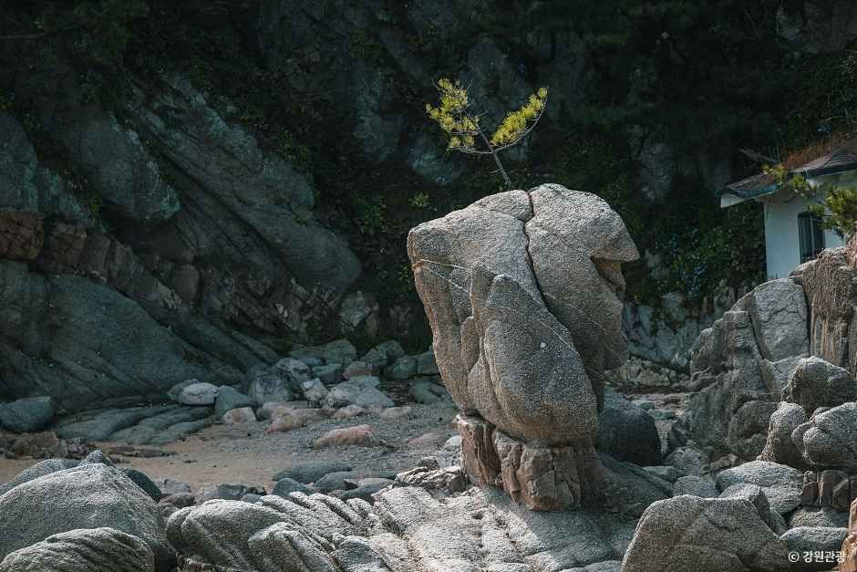 송지호 해안 서낭바위 (강원평화지역 국가지질공원)