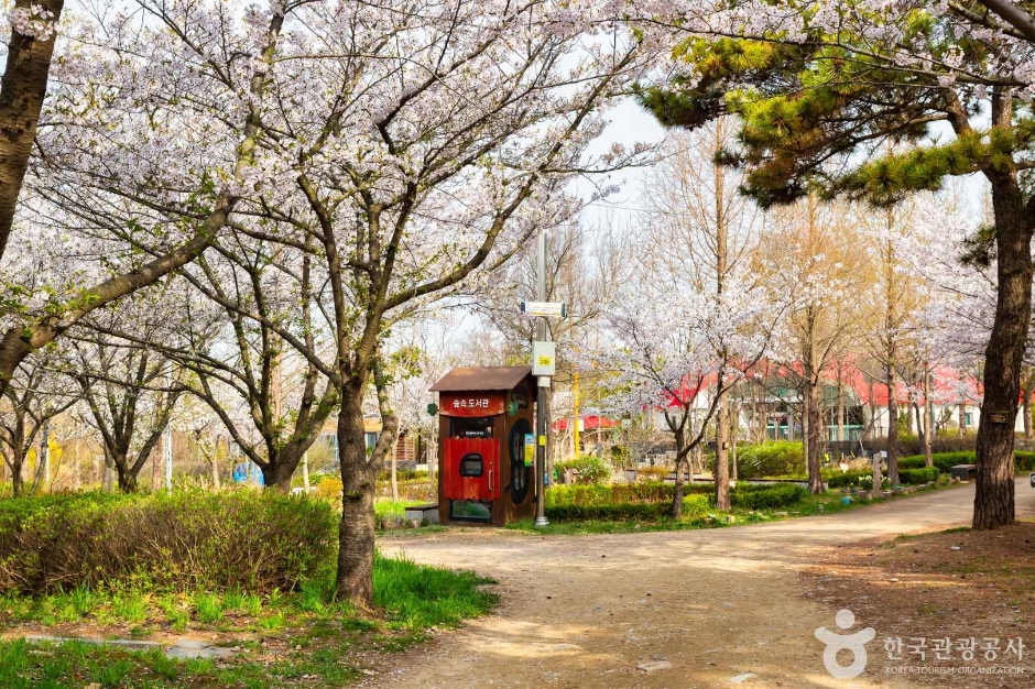 세계평화의숲