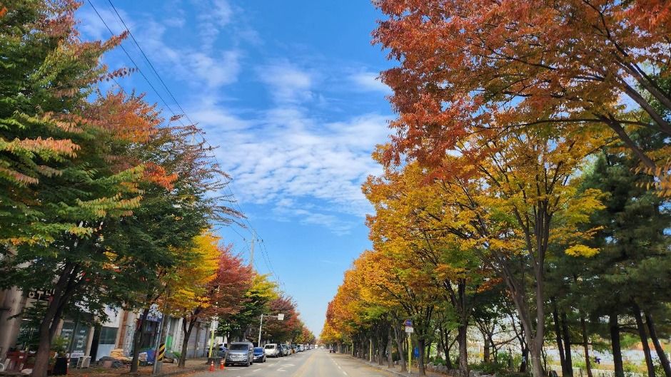 [시흥 늠내길 5코스] 정왕둘레길