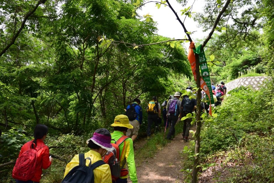 [경기옛길 삼남길 제7길] 독산성길