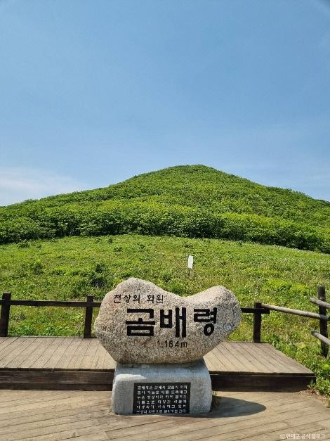 점봉산 곰배령
