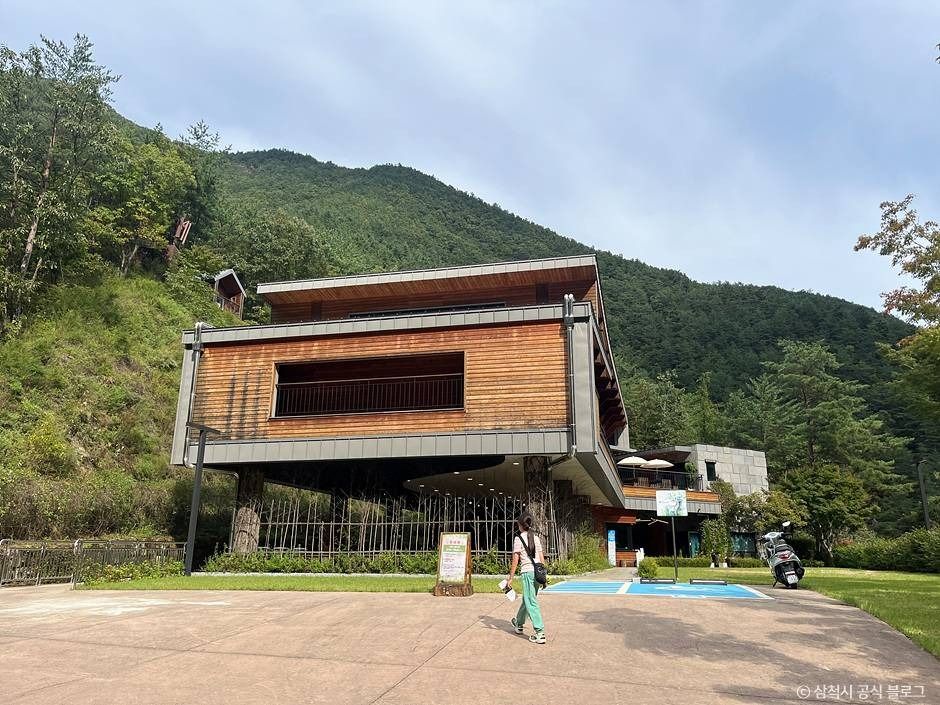 삼척 활기 치유의 숲