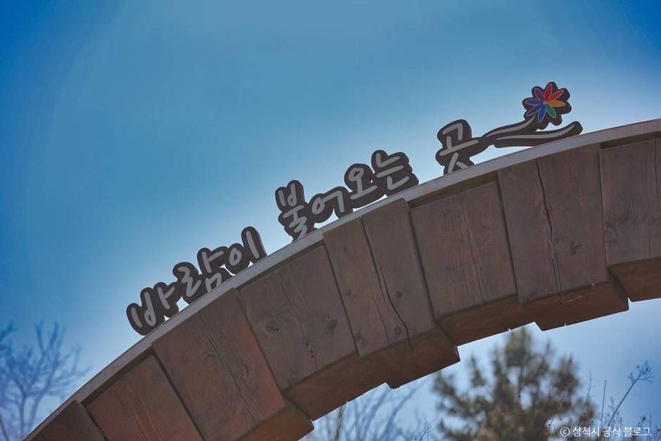 삼척_봉황산산림욕장 (15)