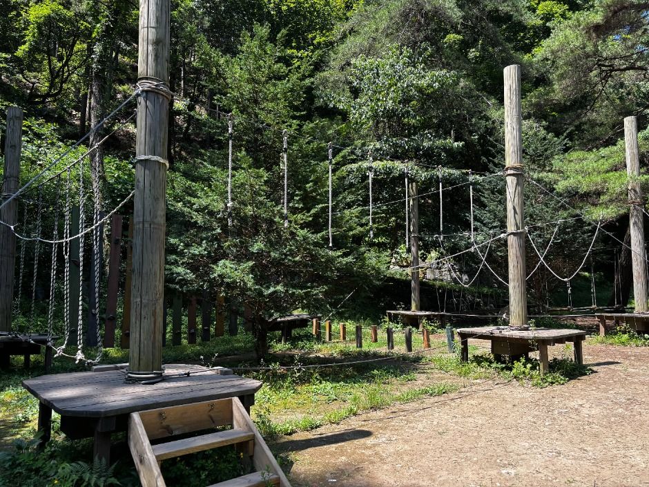 thumbnail-피노키오청소년수련원(피노키오 캠핑장)-27